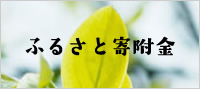 ふるさと寄附金