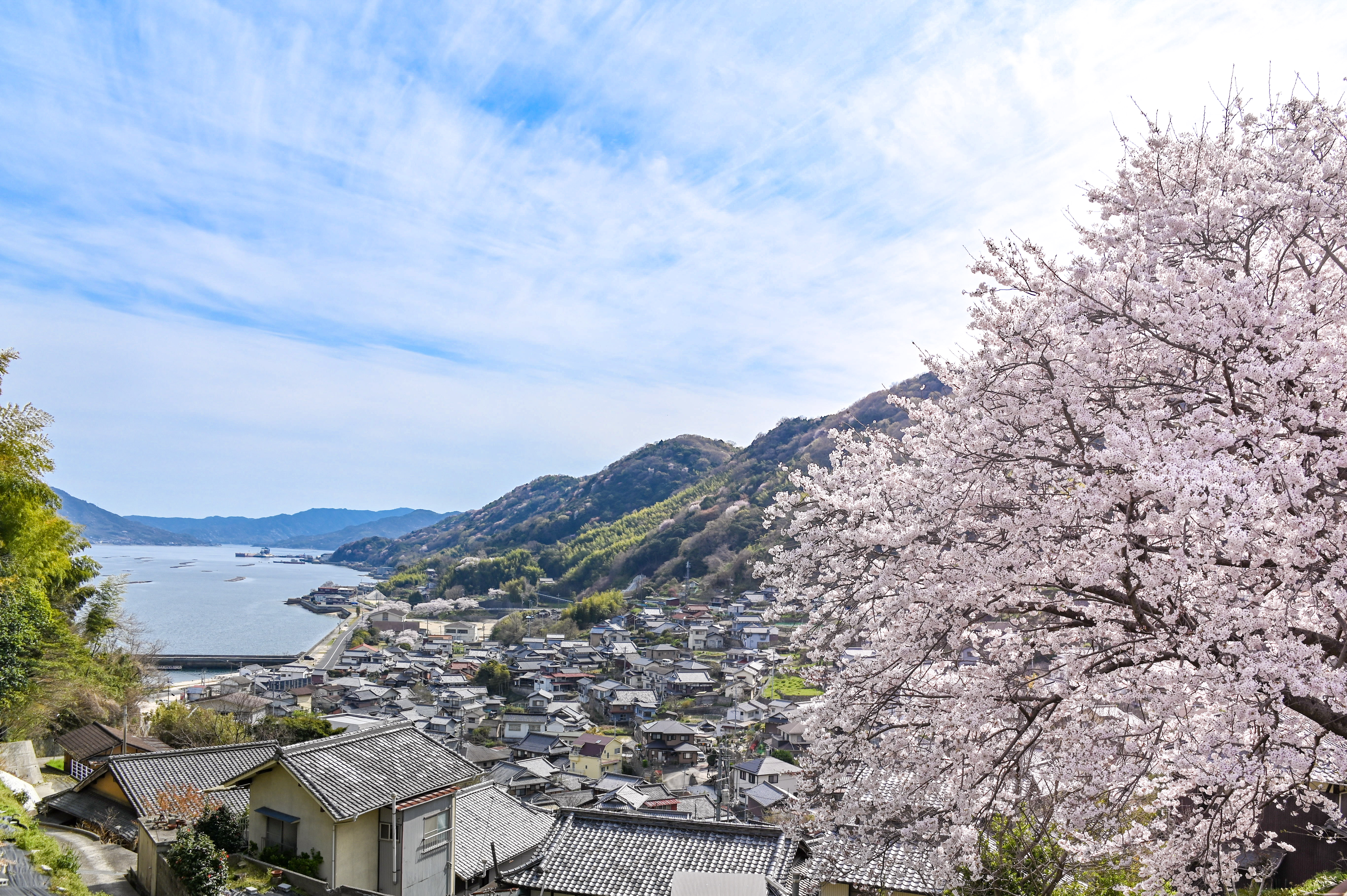 江田島町秋月