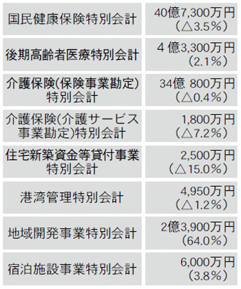 平成25年度特別会計予算