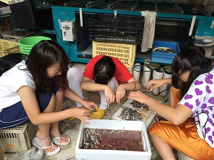 魚の調理体験