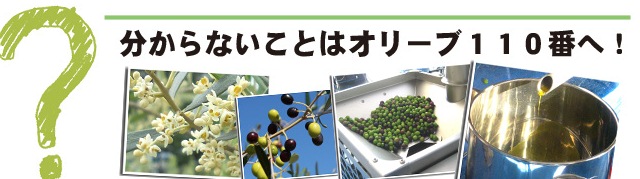 オリーブ110番画像データ