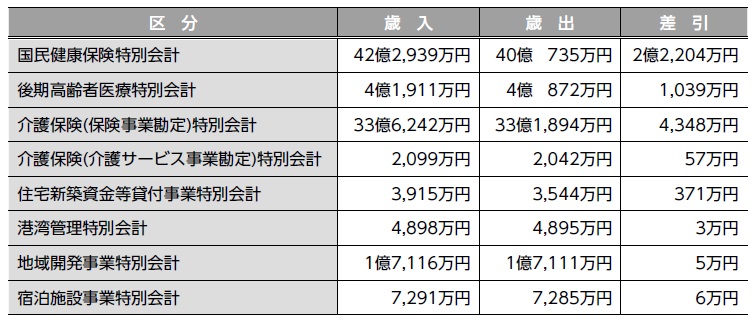 平成25年度特別会計　歳入・歳出の状況画像