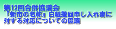 第12回合併協議会